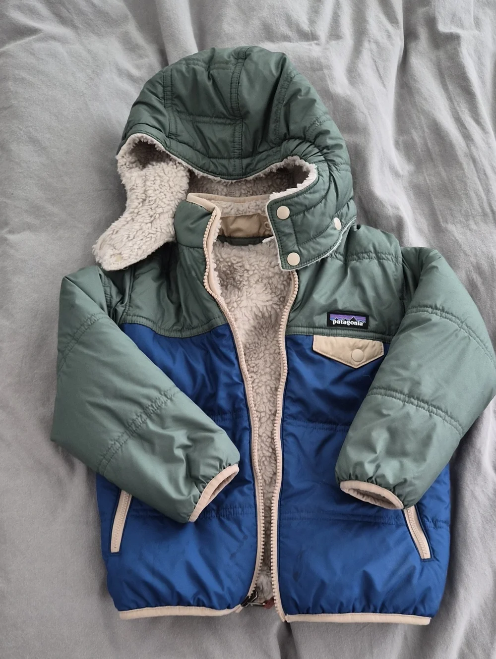 Patagonia Kids Colorblock Hooded Puffer Jacket in Sage Green & Royal Blue